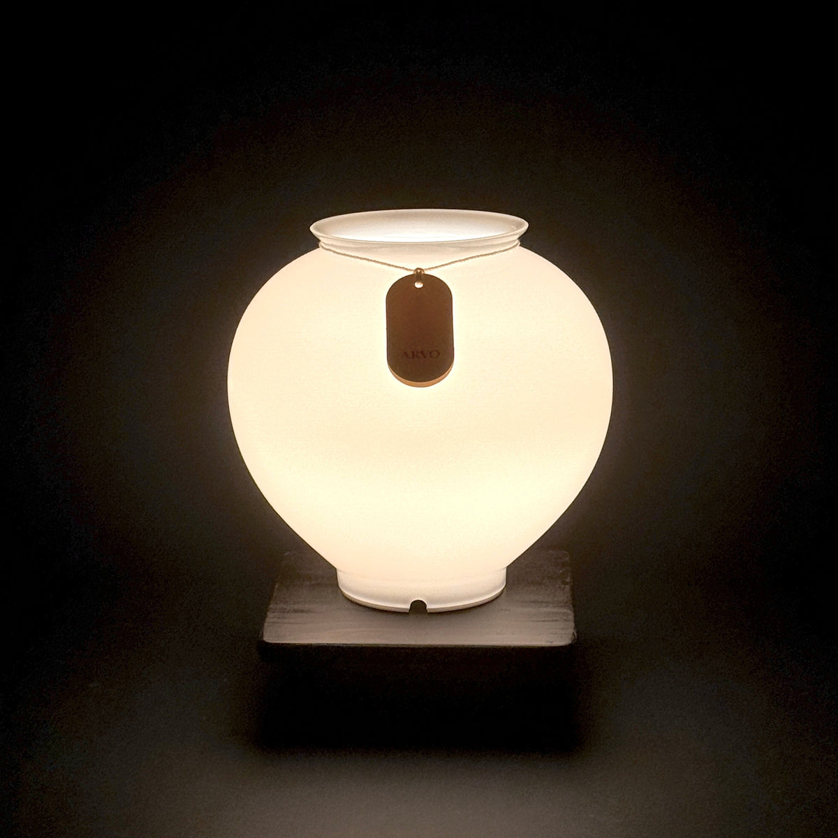 ARVO Delluna Portable LED Lamp